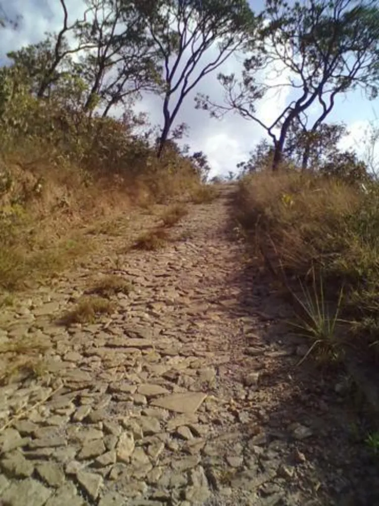 Terreno, 5000 m² - Foto 2