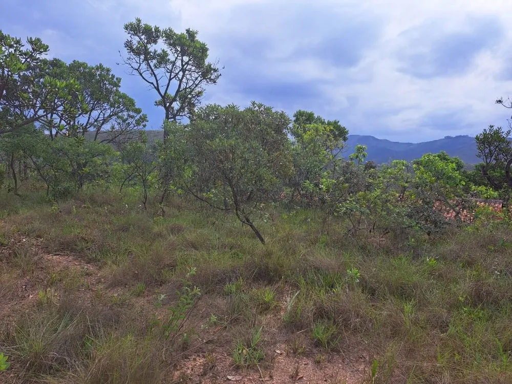 Terreno, 5000 m² - Foto 4
