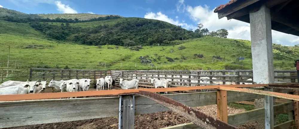 Fazenda, 11 m² - Foto 8
