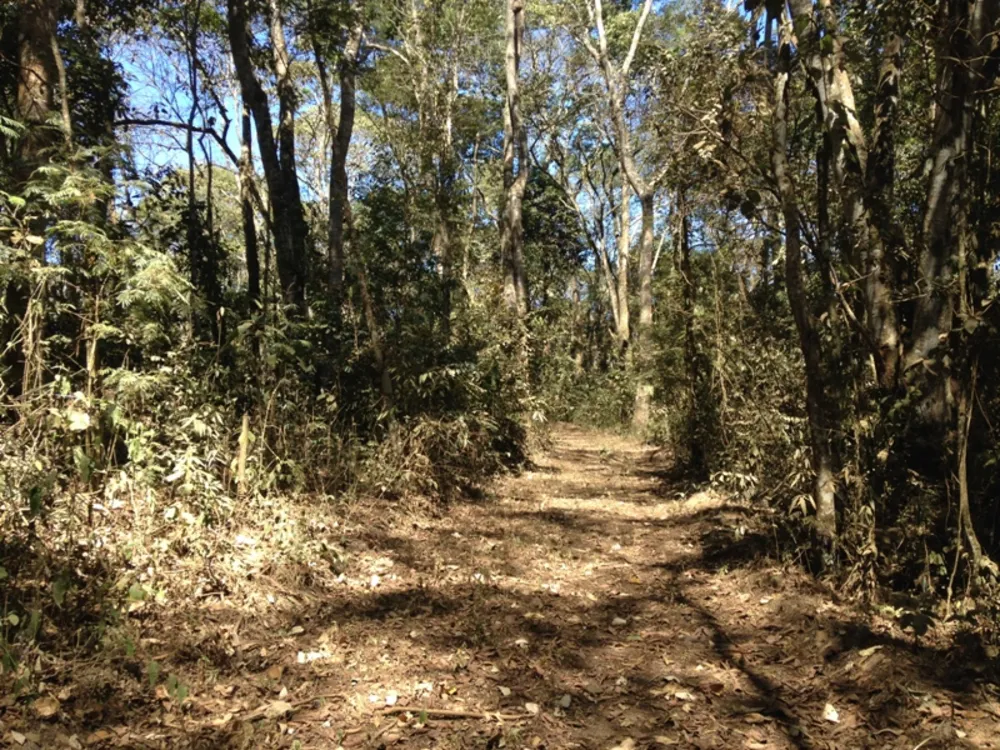 Sítio, 1 quarto, 47000 m² - Foto 8