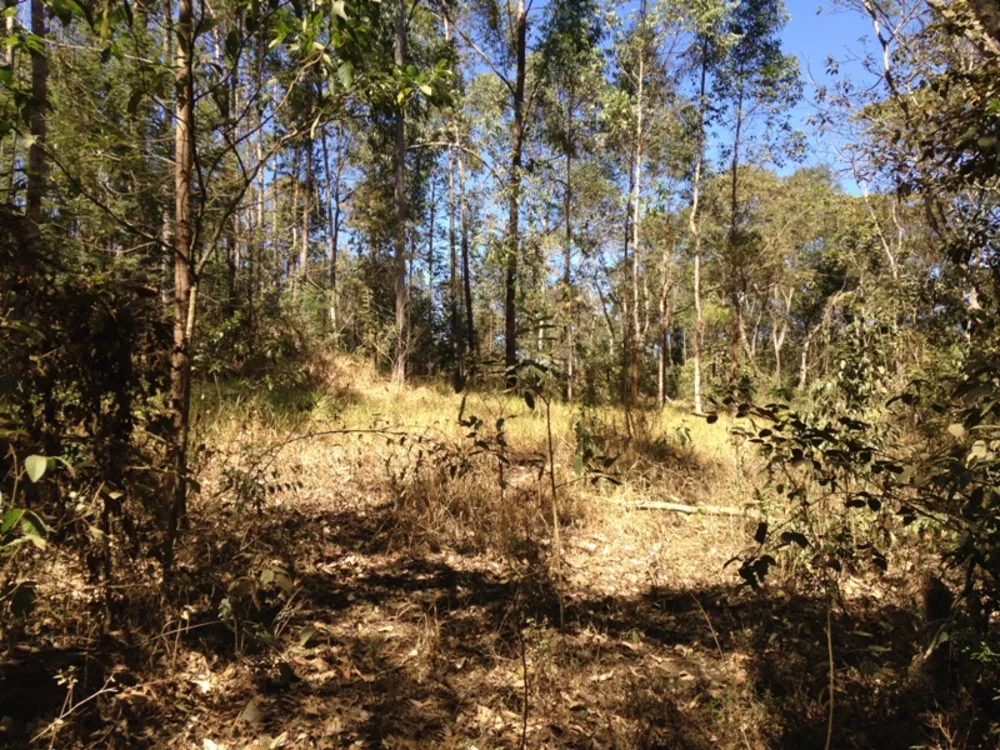 Sítio, 1 quarto, 47000 m² - Foto 4