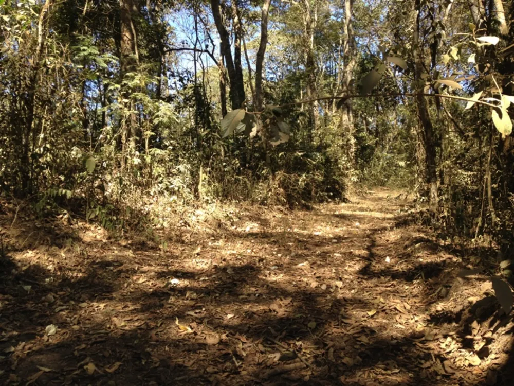 Sítio, 1 quarto, 47000 m² - Foto 1