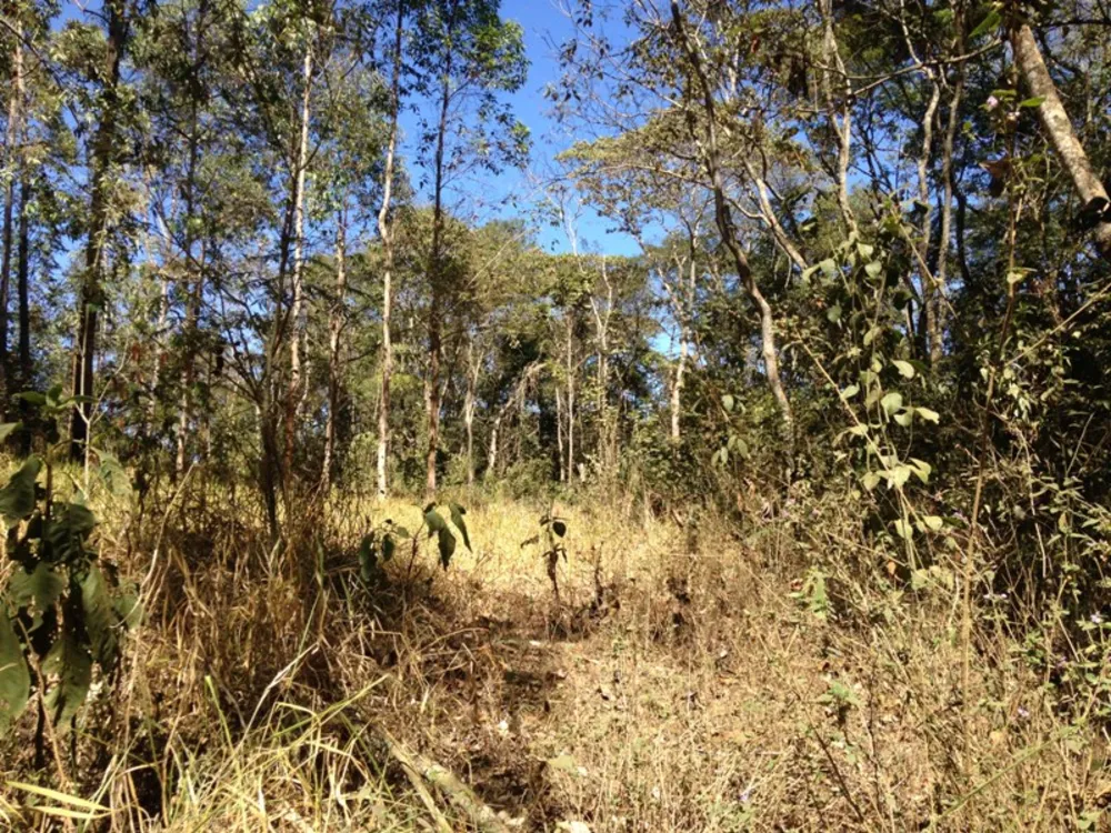 Sítio, 1 quarto, 47000 m² - Foto 7