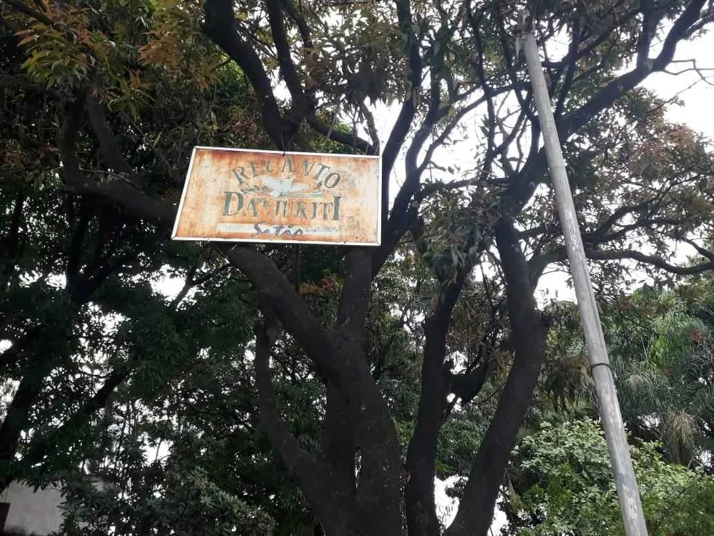 Fazenda, 5000 m² - Foto 4