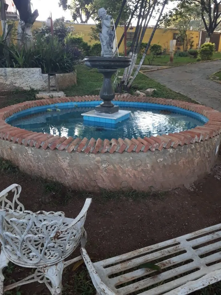 Fazenda, 5000 m² - Foto 3