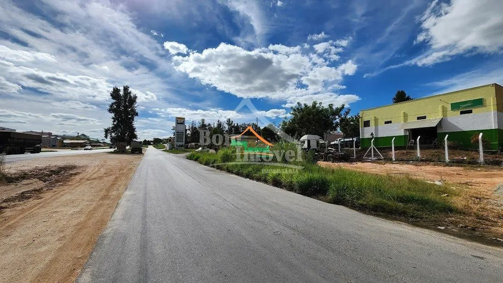 Depósito-Galpão, 3000 m² - Foto 4