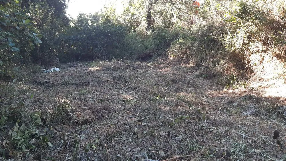 Terreno, 4000 m² - Foto 9
