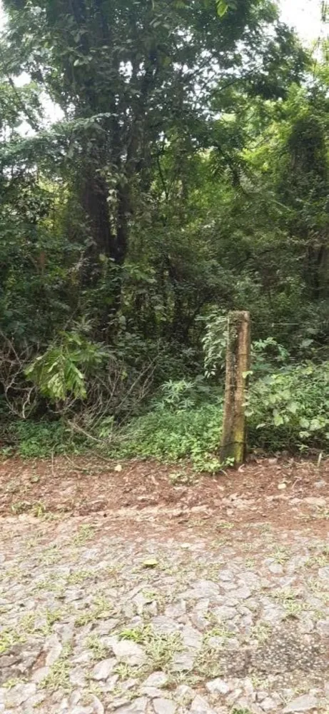 Terreno, 4000 m² - Foto 4