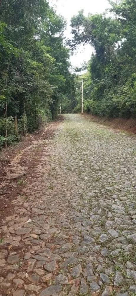 Terreno, 4000 m² - Foto 3