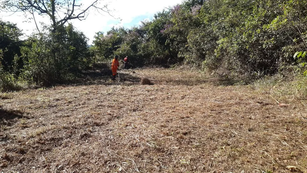 Terreno, 4000 m² - Foto 8