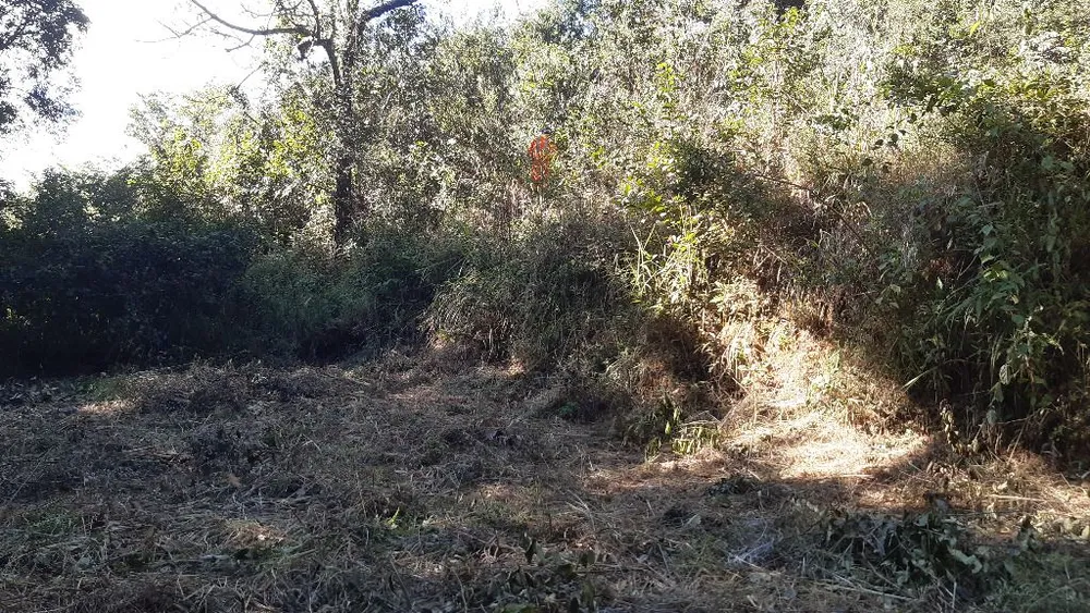 Terreno, 4000 m² - Foto 10