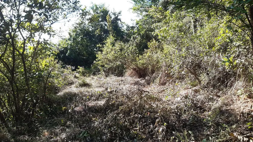 Terreno, 4000 m² - Foto 7