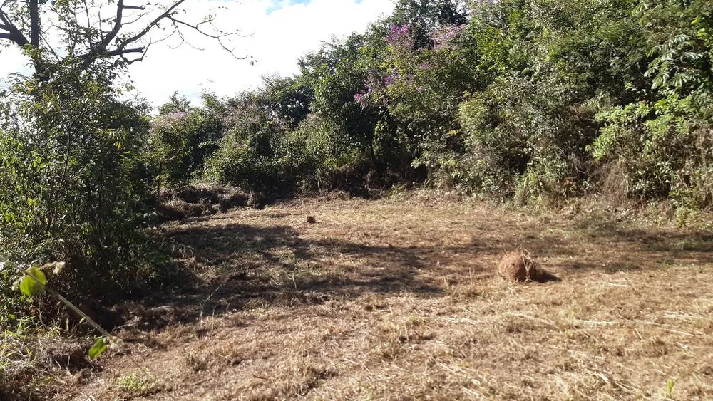 Terreno, 4000 m² - Foto 11