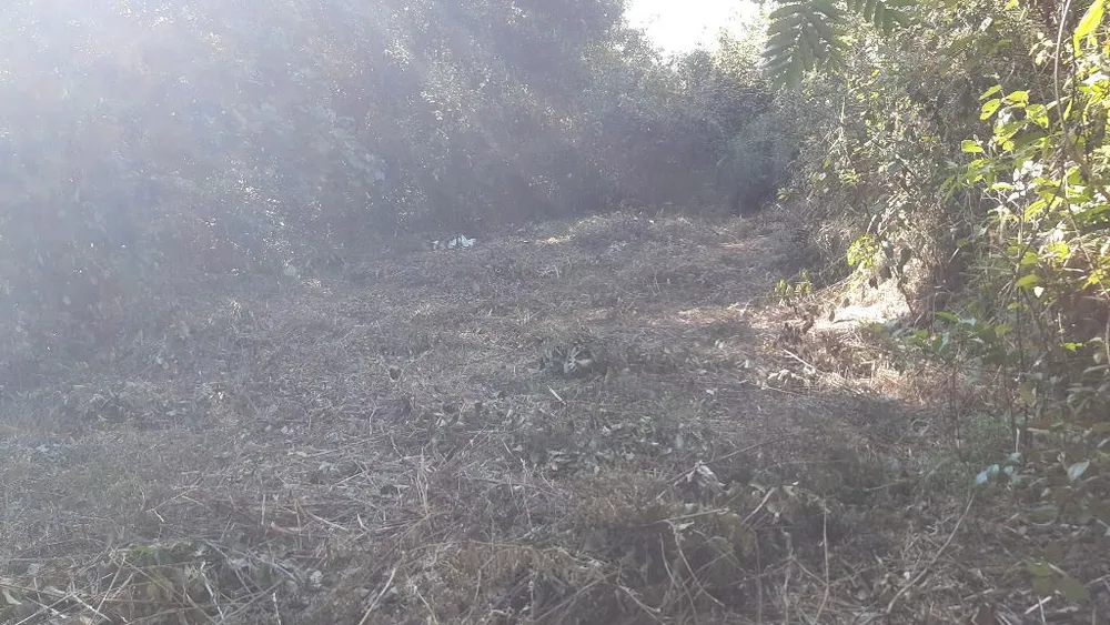 Terreno, 4000 m² - Foto 16
