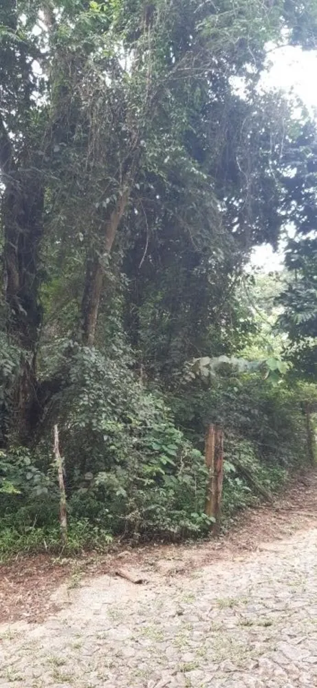 Terreno, 4000 m² - Foto 5