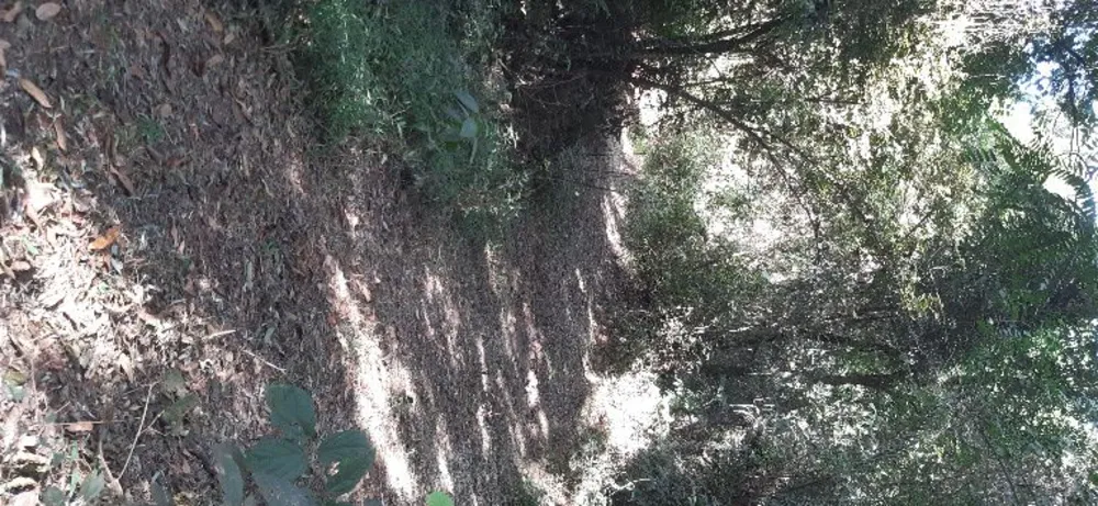 Terreno, 4000 m² - Foto 12
