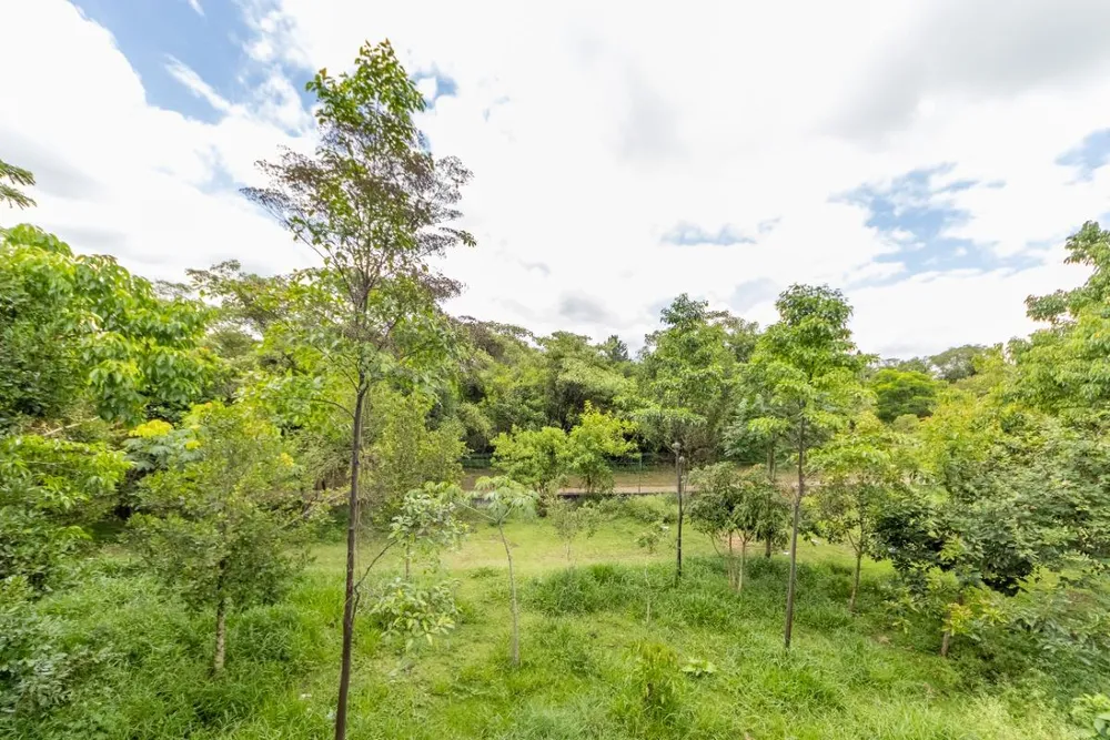 Casa, 3 quartos, 250 m² - Foto 3