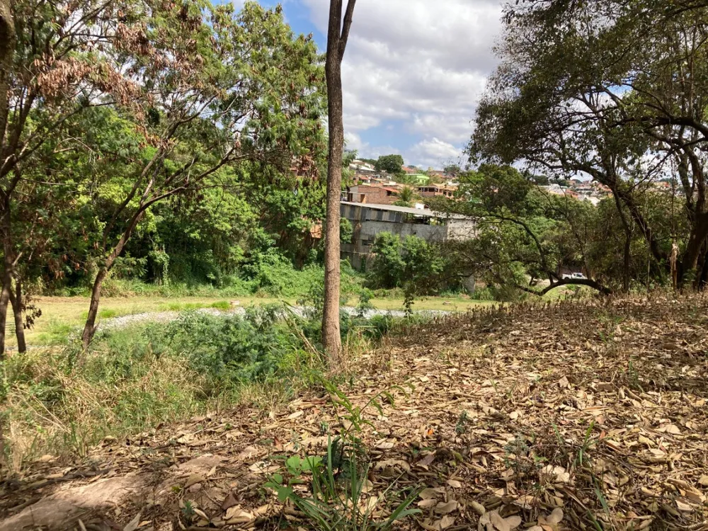 Terreno, 1800 m² - Foto 12