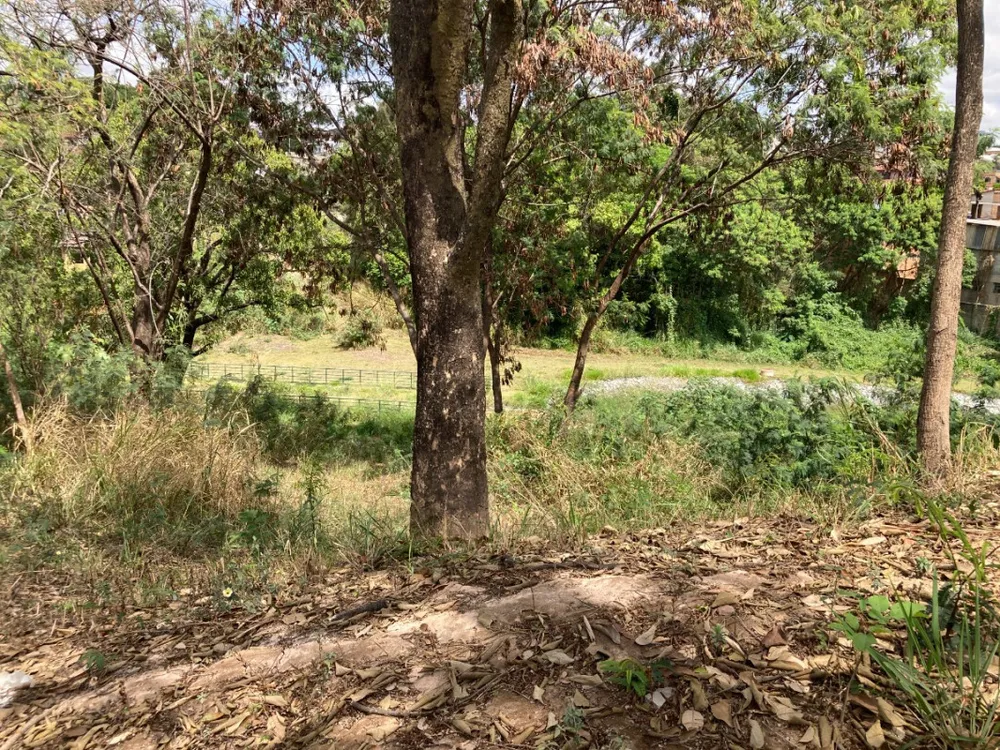 Terreno, 1800 m² - Foto 15