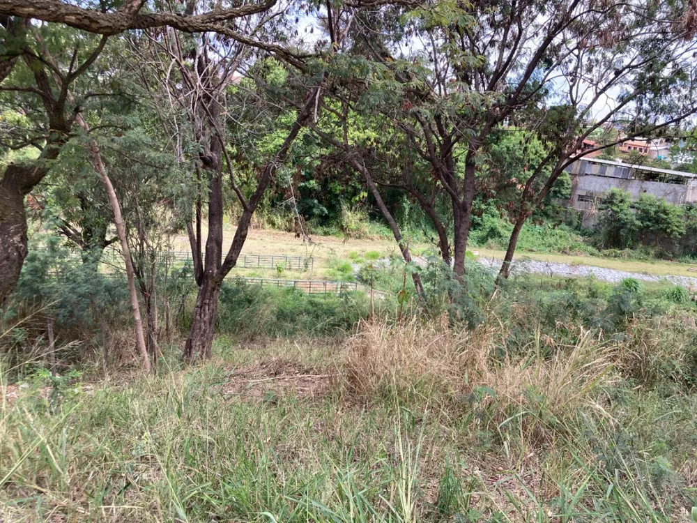 Terreno, 1800 m² - Foto 6
