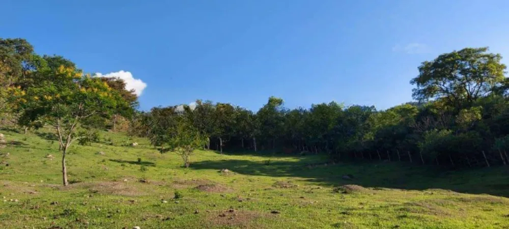 Terreno, 15 hectares - Foto 1