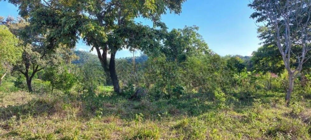 Terreno, 15 hectares - Foto 3