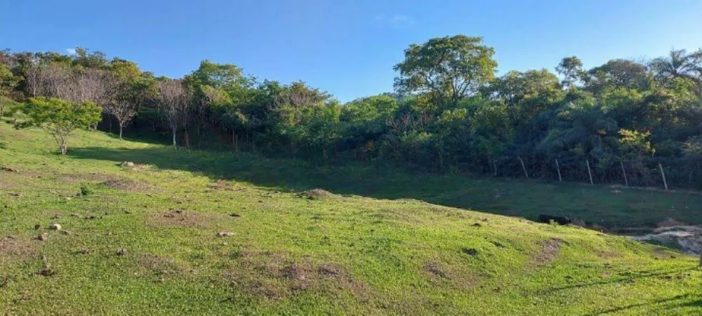 Terreno, 15 hectares - Foto 4