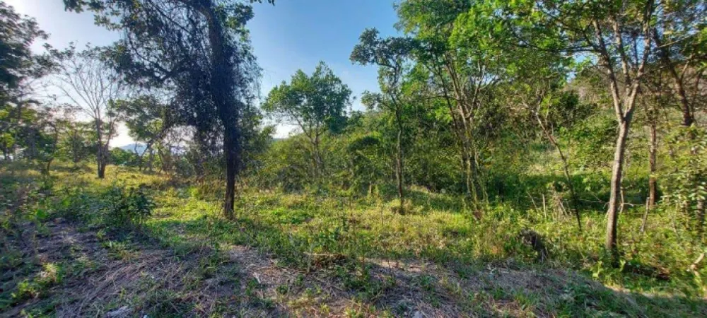 Terreno, 15 hectares - Foto 3