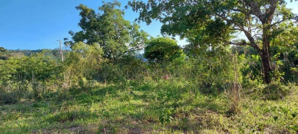 Terreno, 15 hectares - Foto 2