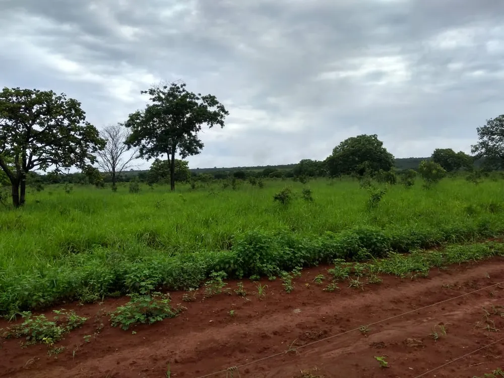 Fazenda, 620 hectares - Foto 1