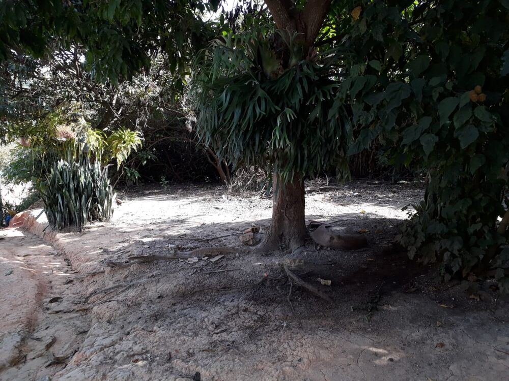 Terreno à venda, 445m² - Foto 3