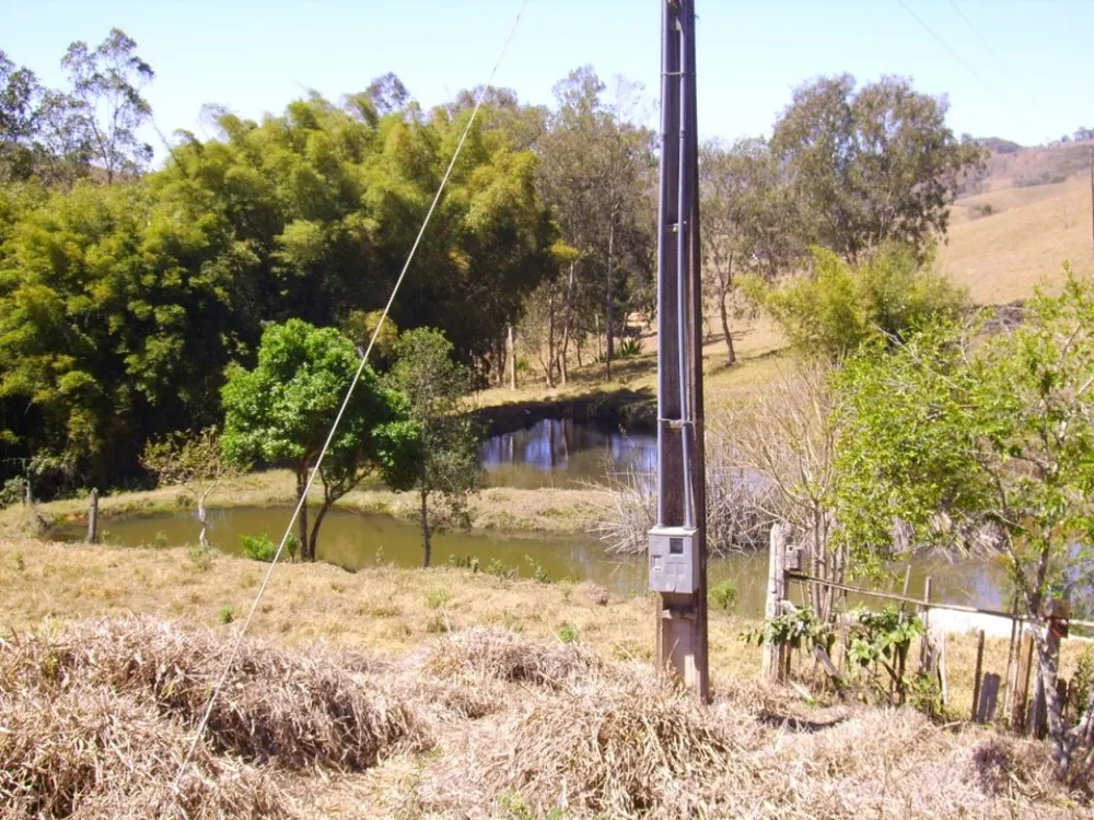Fazenda, 138 hectares - Foto 7