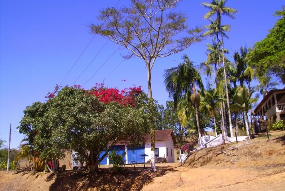 Fazenda, 138 hectares - Foto 4