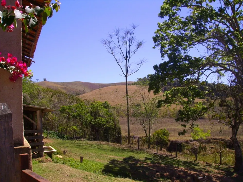 Fazenda, 138 hectares - Foto 3