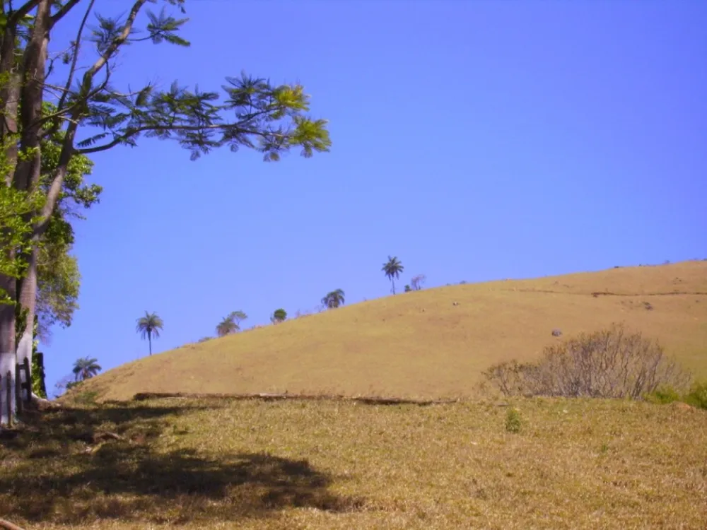 Fazenda, 138 hectares - Foto 4