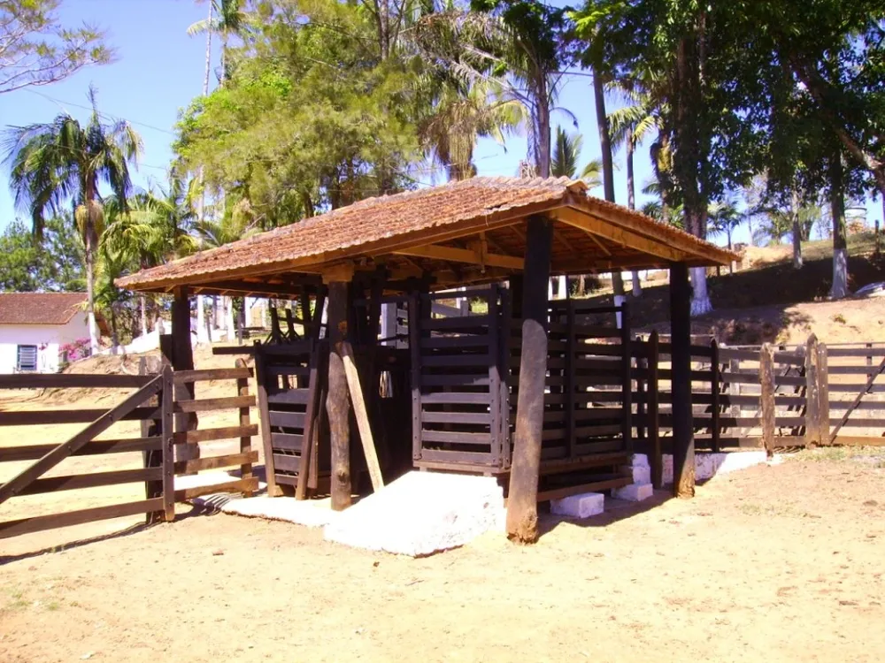 Fazenda, 138 hectares - Foto 2