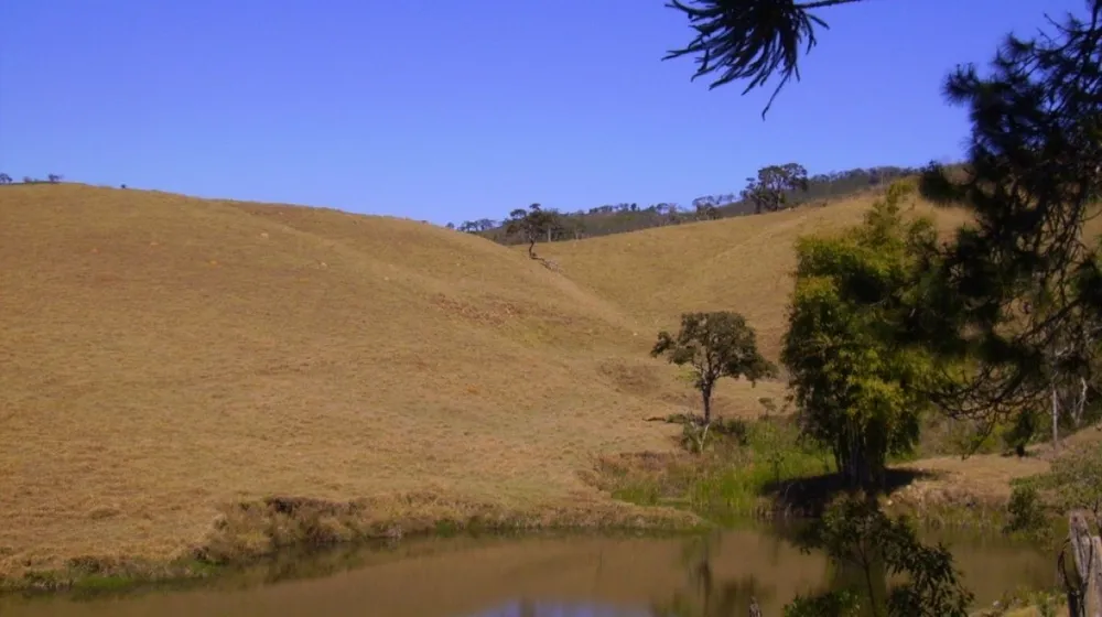 Fazenda, 138 hectares - Foto 7