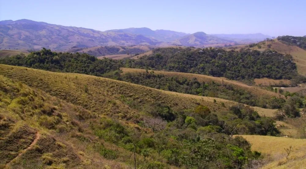 Fazenda, 138 hectares - Foto 1