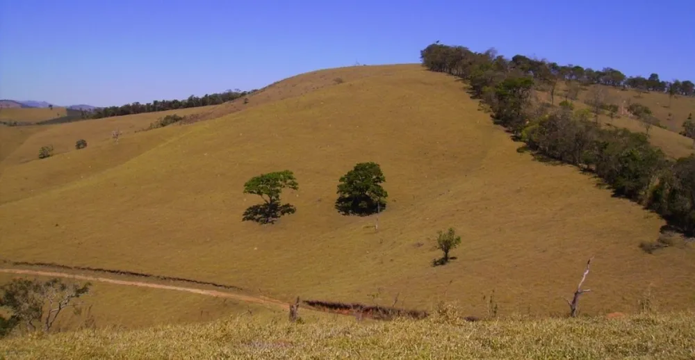 Fazenda, 138 hectares - Foto 8