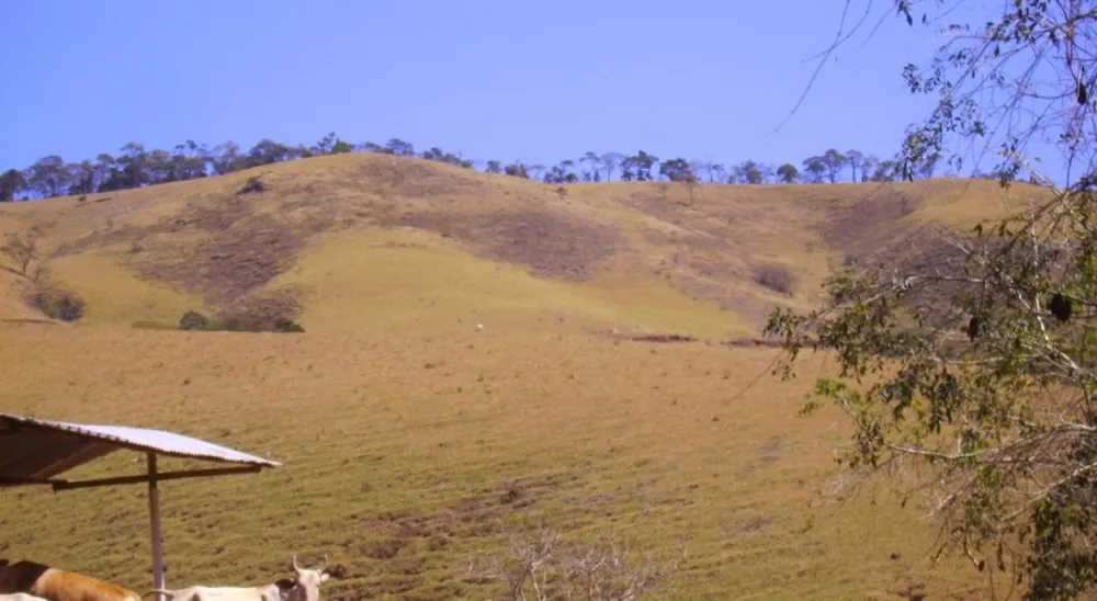 Fazenda, 138 hectares - Foto 11