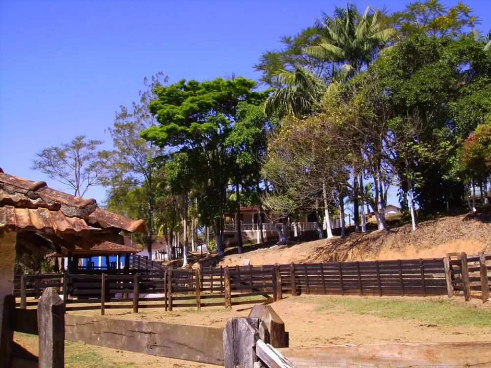 Fazenda, 138 hectares - Foto 2