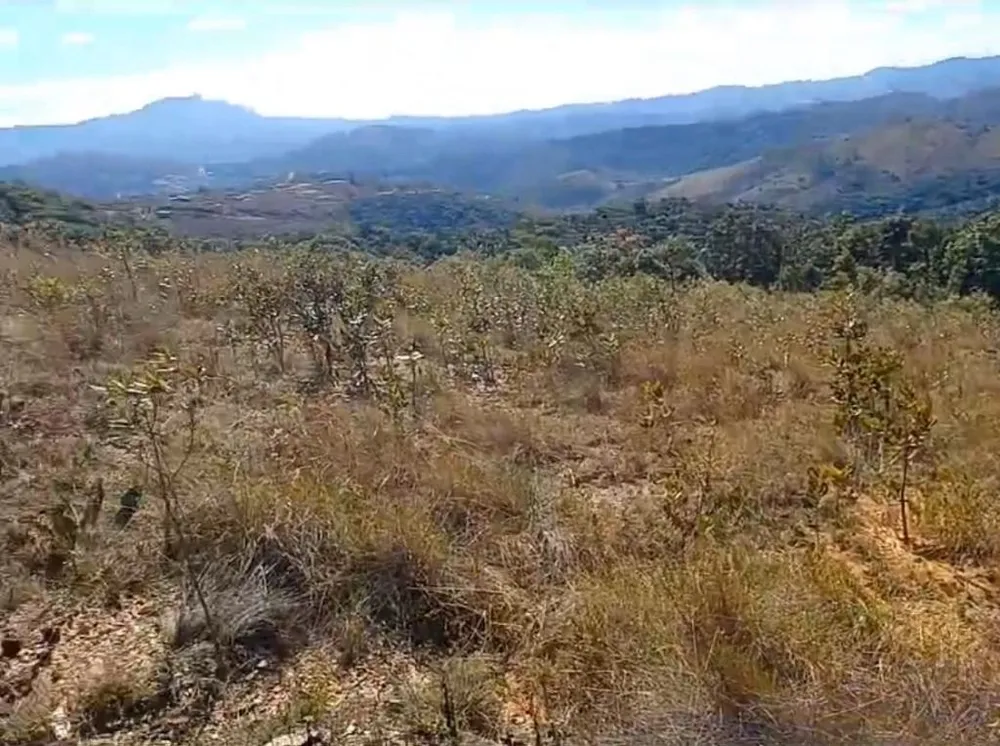 Terreno, 100000 m² - Foto 3