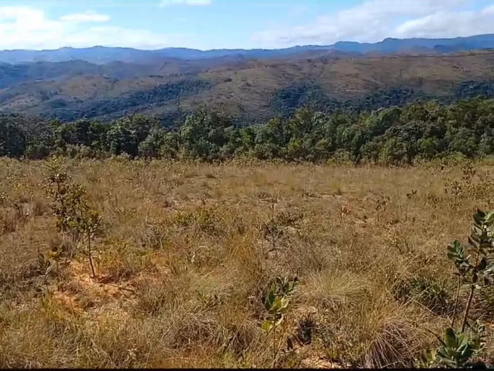 Terreno, 100000 m² - Foto 8