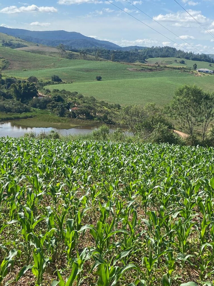 Fazenda à venda com 1 quarto, 560000m² - Foto 2