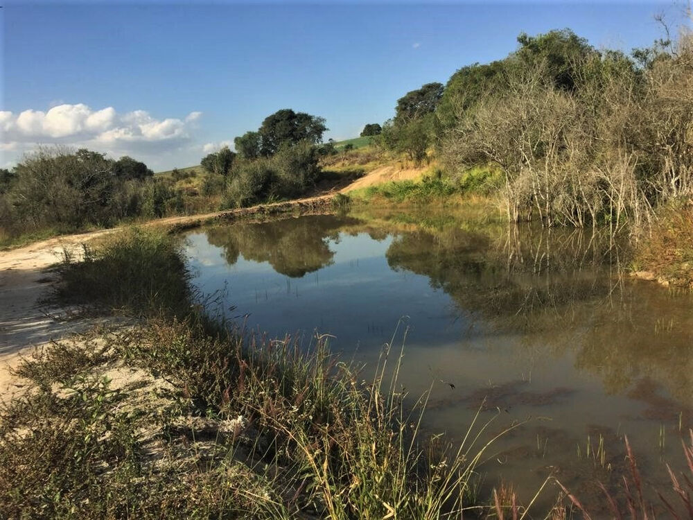 Fazenda à venda com 1 quarto, 560000m² - Foto 11