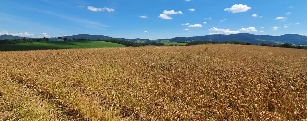 Fazenda à venda com 1 quarto, 560000m² - Foto 8