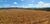 Fazenda, 56 hectares - Foto 5
