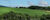 Fazenda, 56 hectares - Foto 3
