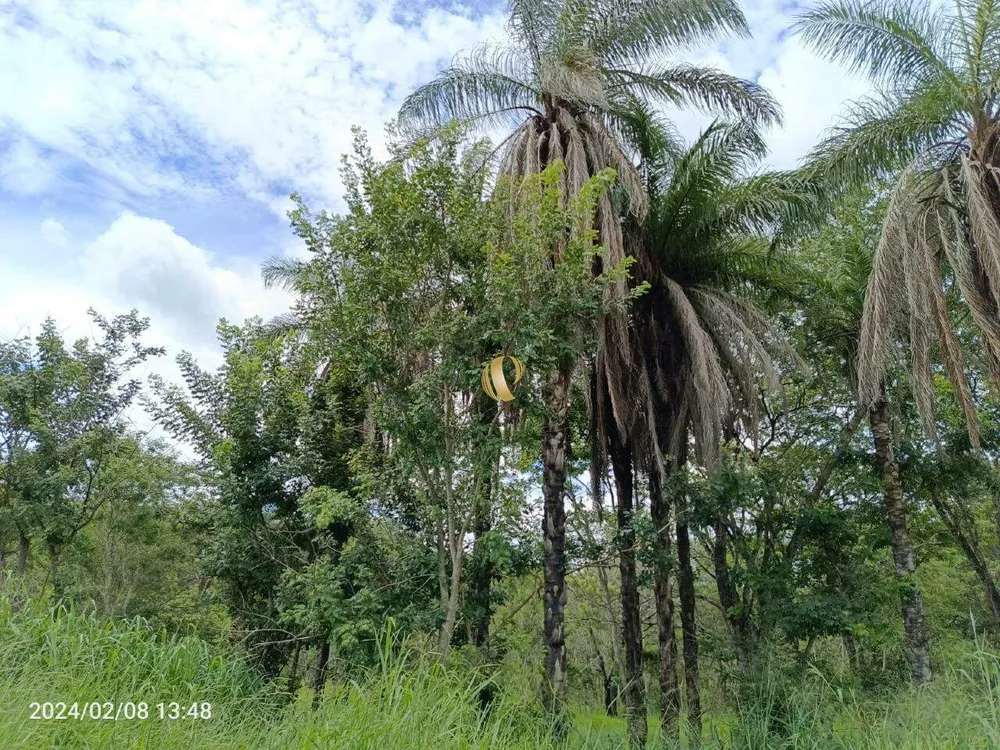 Chácara, 1 quarto, 34 hectares - Foto 7