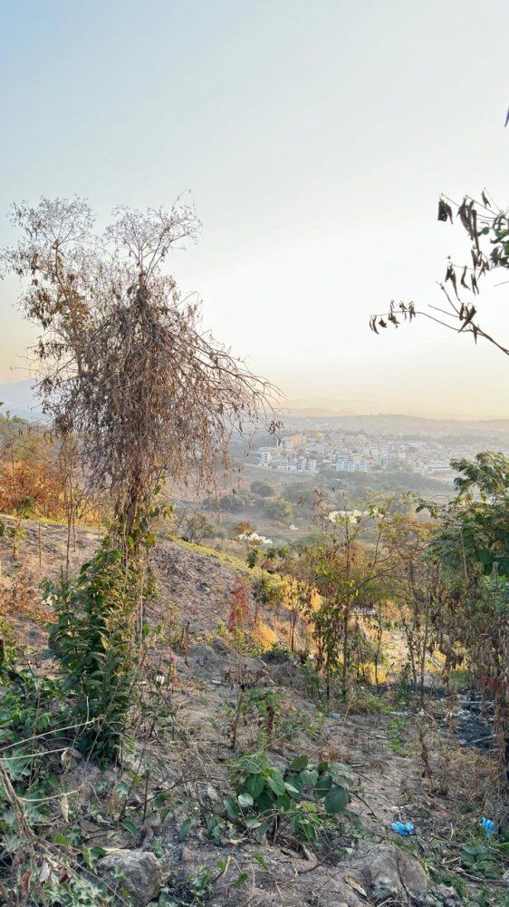 Terreno à venda, 370m² - Foto 8